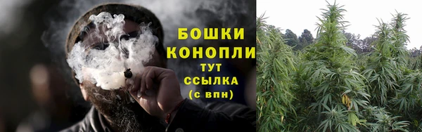 гашик Нефтекумск