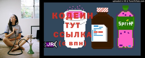 спайс Нея