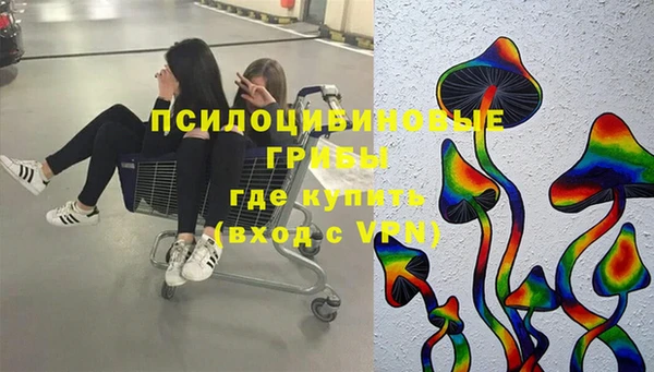 гашик Нефтекумск