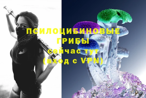 спайс Нея