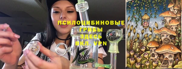 гашик Нефтекумск