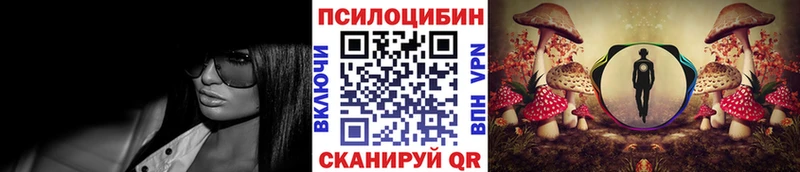 Галлюциногенные грибы Psilocybine cubensis  гидра сайт  Кохма 