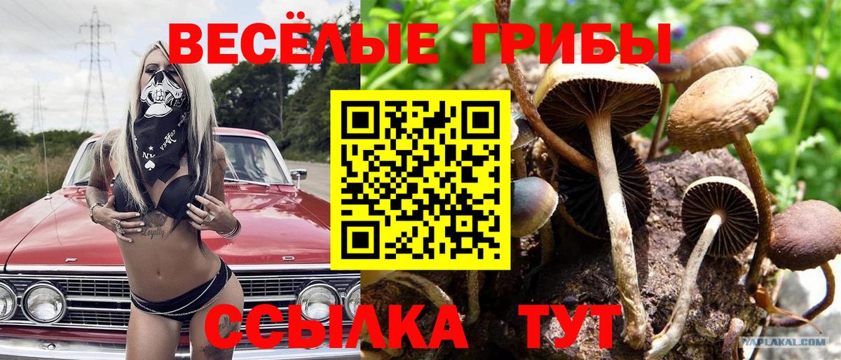 Альфа ПВП Кохма