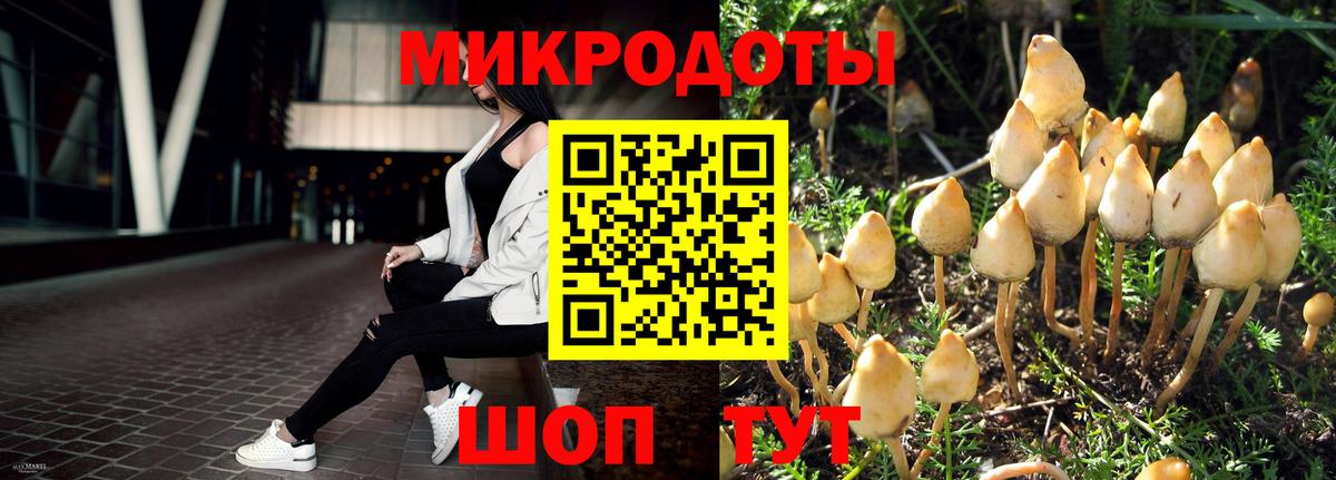 Галлюциногенные грибы ЛСД  Псилоцибиновые грибы MAGIC MUSHROOMS  Кохма  Вход с VPN 